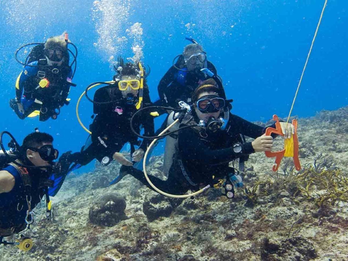 adventure open water course