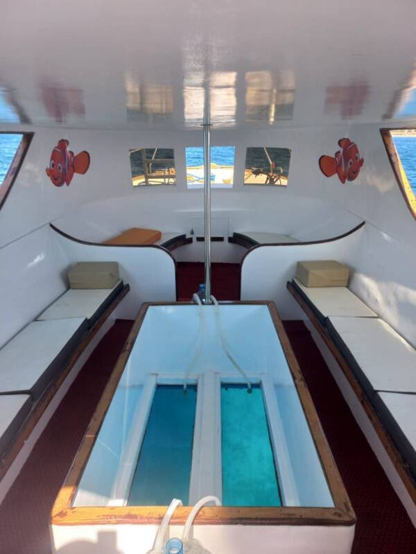 Private Glass Boat Trip (3 Hours) – Hurghada - Image 2