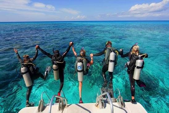 🤿 Discovery Diving (12 Meters) – No License Required