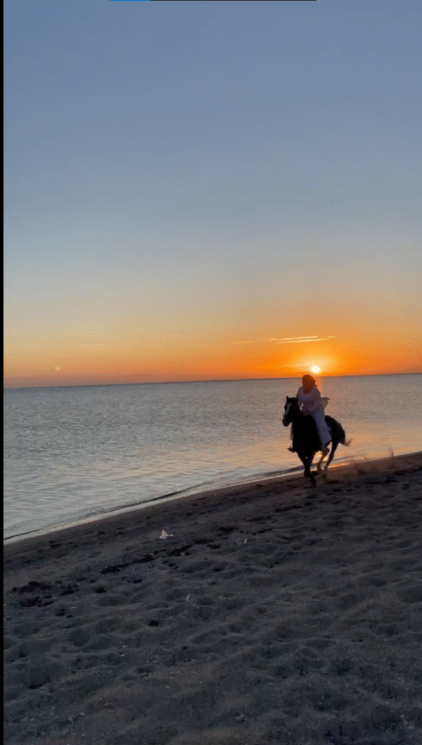 🐎 Hurghada: Red Sea & Desert Horse Riding Tour