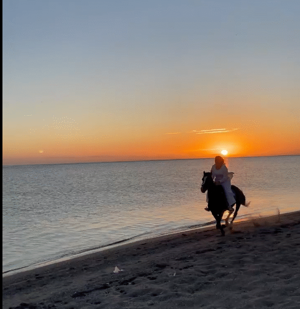 🐎 Hurghada: Red Sea & Desert Horse Riding Tour