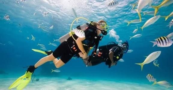 🤿 Introduction Dive (5 Meters) – No Diving License Required