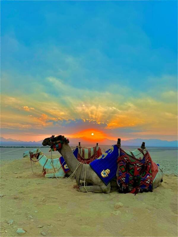 🌄 Sunset Makadi Adventure - Image 5