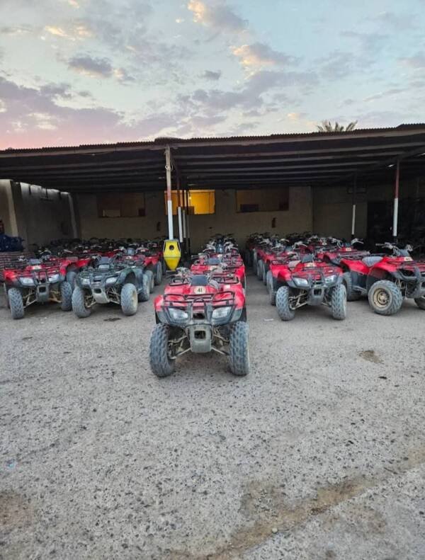 🌄 Sunset Makadi Adventure - Image 2